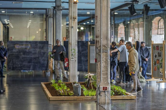 Exposición de variedades de lechugas. ¿Qué cosechamos?