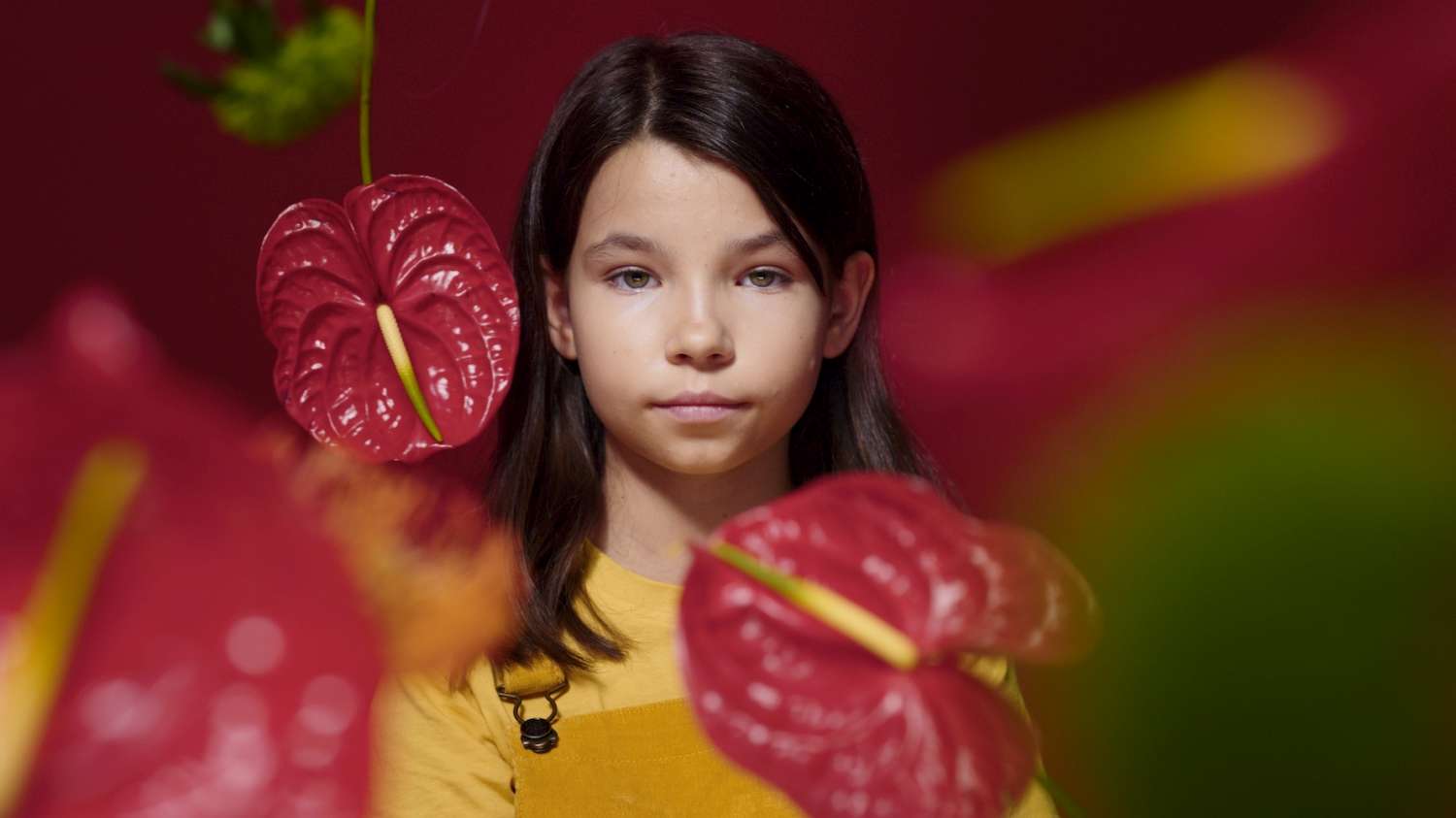 El gobierno de los niños II