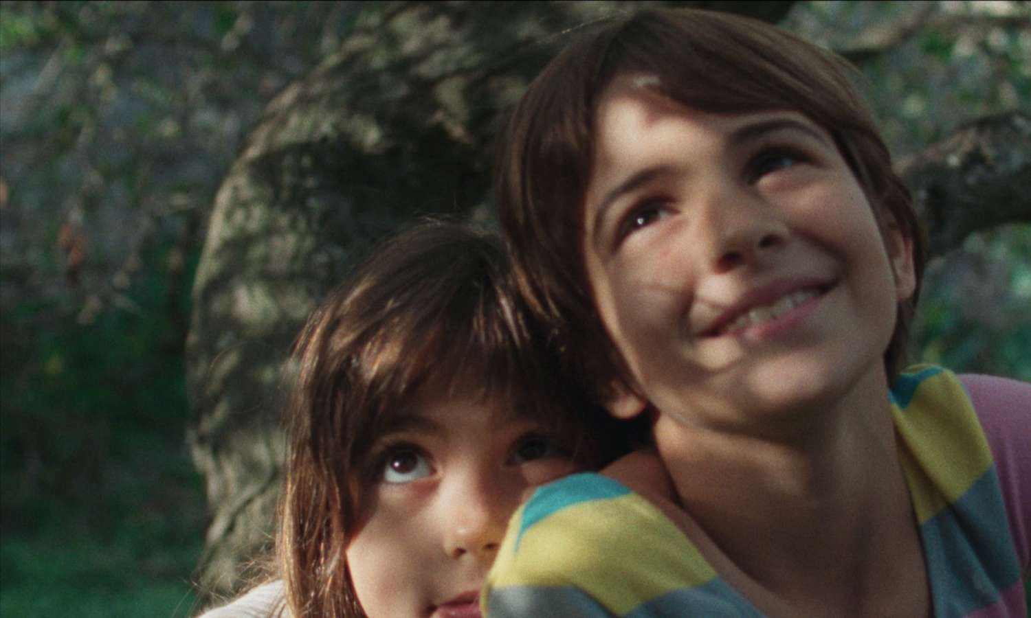 Sesión de cortometrajes 2 - DbWS 2026