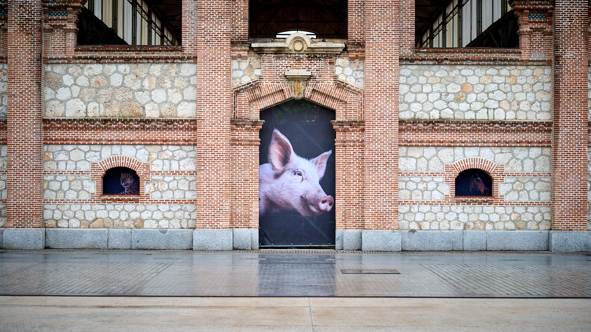 The Animals, photographic exhibition by Estela de Castro