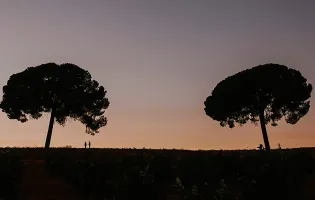 Imagen de la Muestra de Cine Rumano Contemporáneo