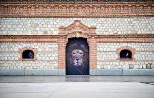 The Animals. Estela de Castro. Matadero Madrid