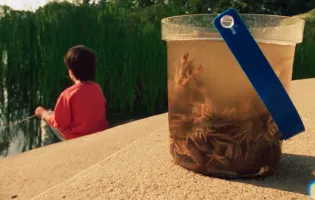 cubo transparente con cangrejos y un niño de fondo en el río