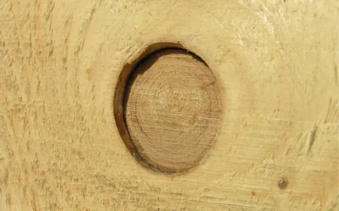 Tocar Madera Emma Prats
