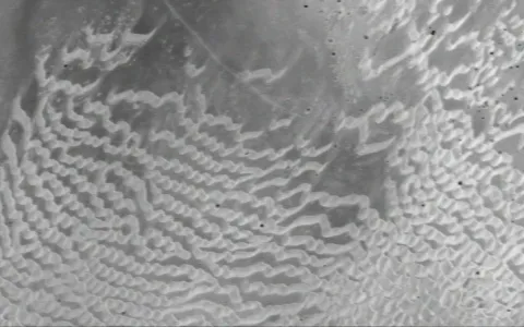 Textura rugosa blanca