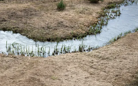 Pequeño arroyo con agua