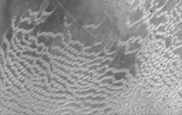 Textura rugosa blanca