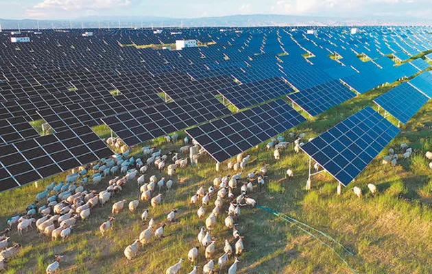 Vista aerea de campo con ovejas y placas solares