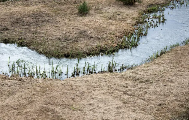 Pequeño arroyo con agua