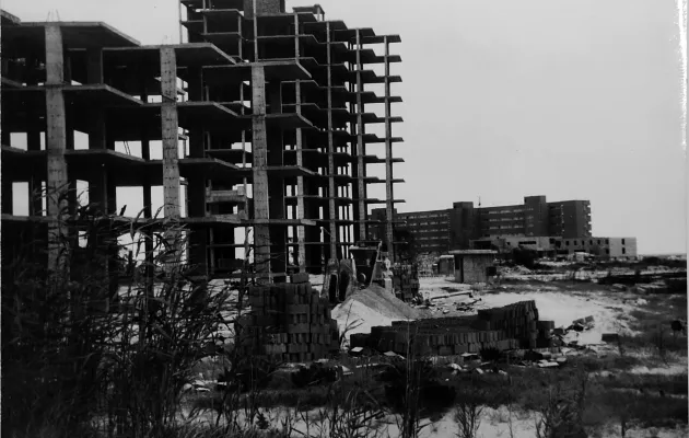 foto en blanco y negro del esqueleto de unos edificios