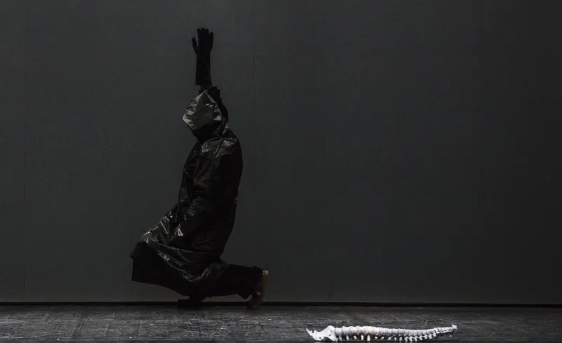 Imagen de la performance