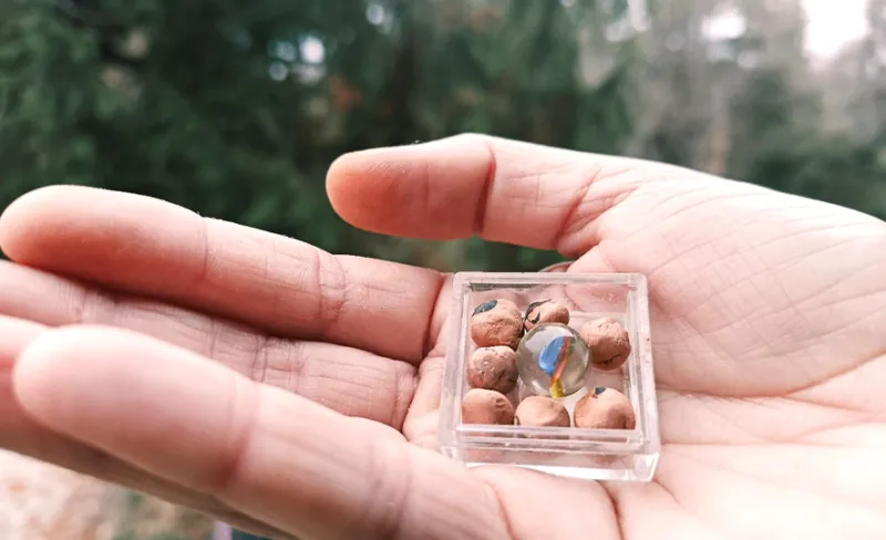 Mano sujeta una caja con canicas