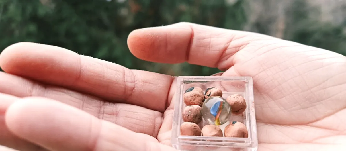 Mano sujeta una caja con canicas