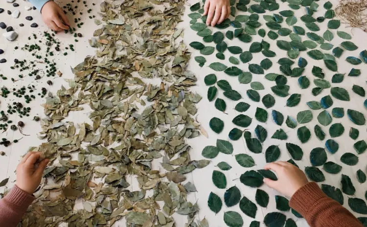 Hojas de plantas y árcoles de varios colores sobre una mesa con manos de niños manipulándolas