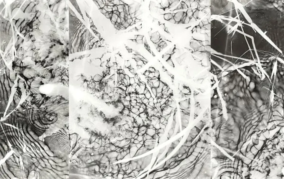 Texturas en blanco y negro