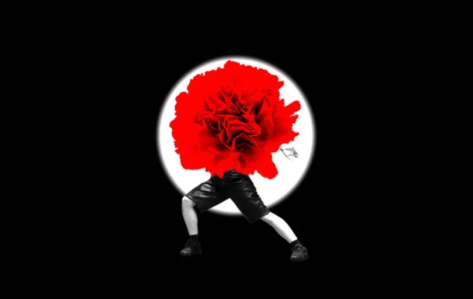 Persona se oculta tras una rosa roja gigante