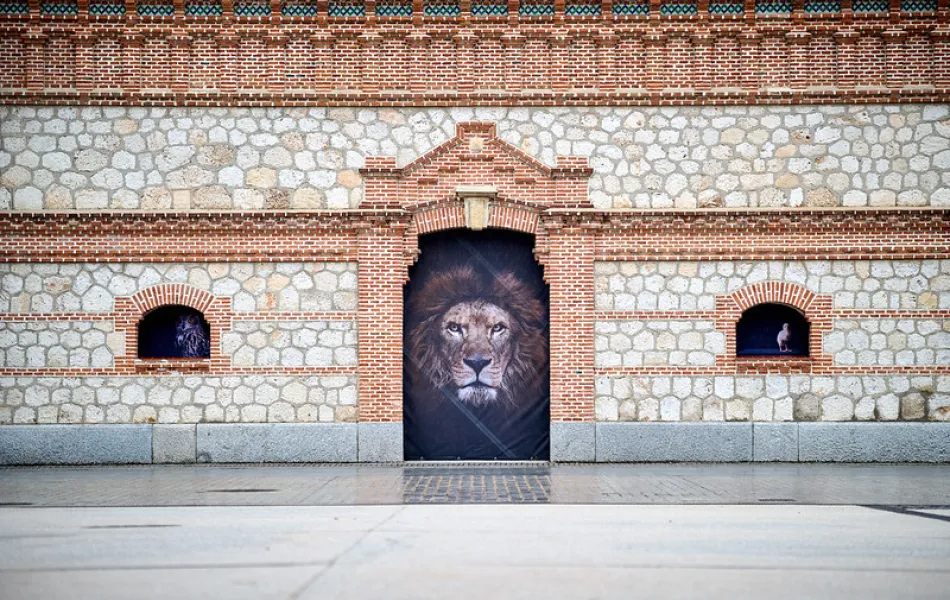 The Animals. Estela de Castro. Matadero Madrid The Animals. Estela de Castro. Matadero Madrid