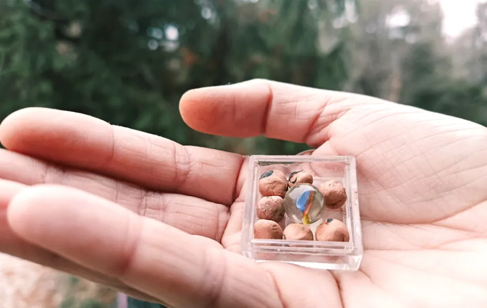 Mano sujeta una caja con canicas