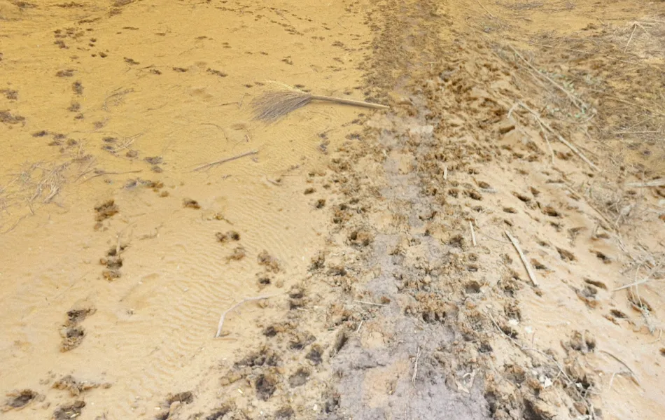 Pisadas sobre arena