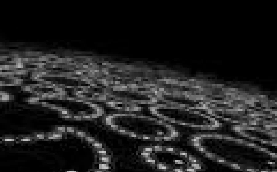 Free(k) Session 6 / Visual Interactivo