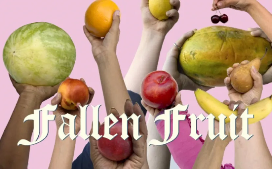 FALLEN FRUIT