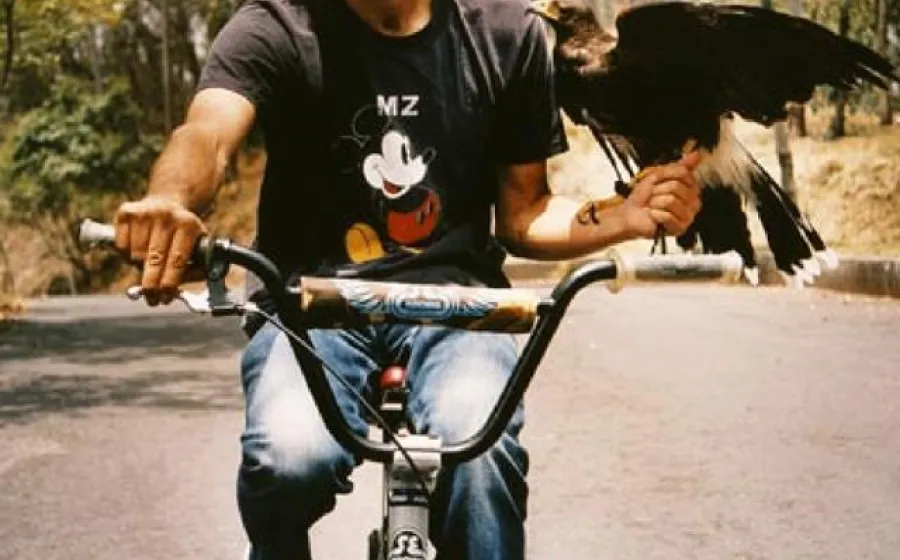 MIGUEL CALDERÓN