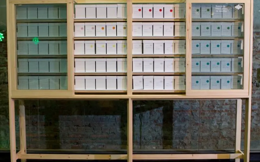 SEED SWAP BANK