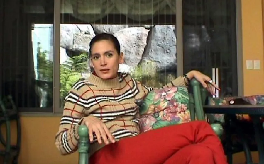 CORTOMETRAJES DE VIRGINIA GARCÍA DEL PINO