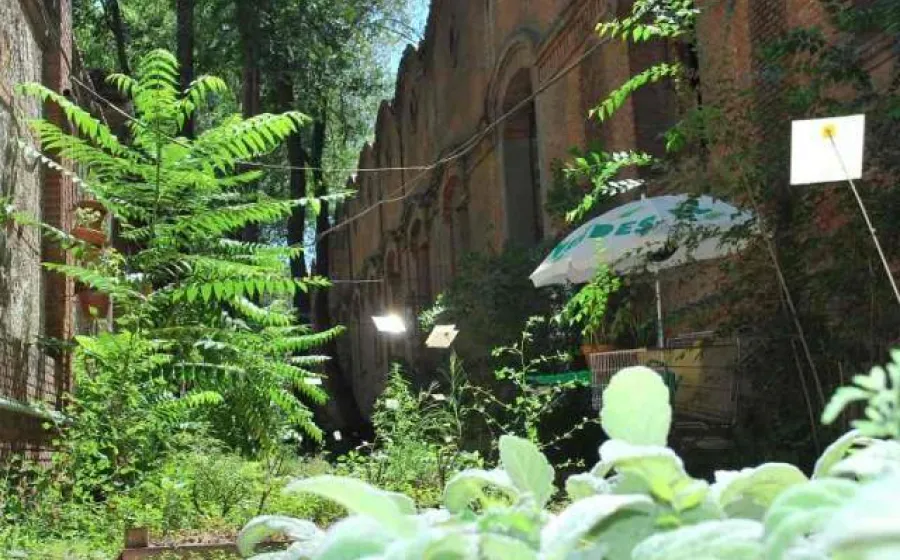 AVANT GARDEN