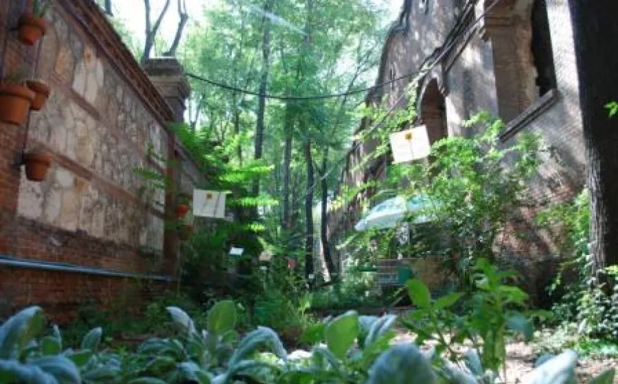 AVANT GARDEN