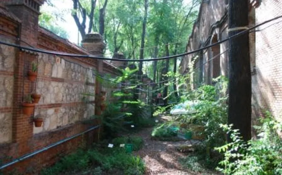 AVANT GARDEN
