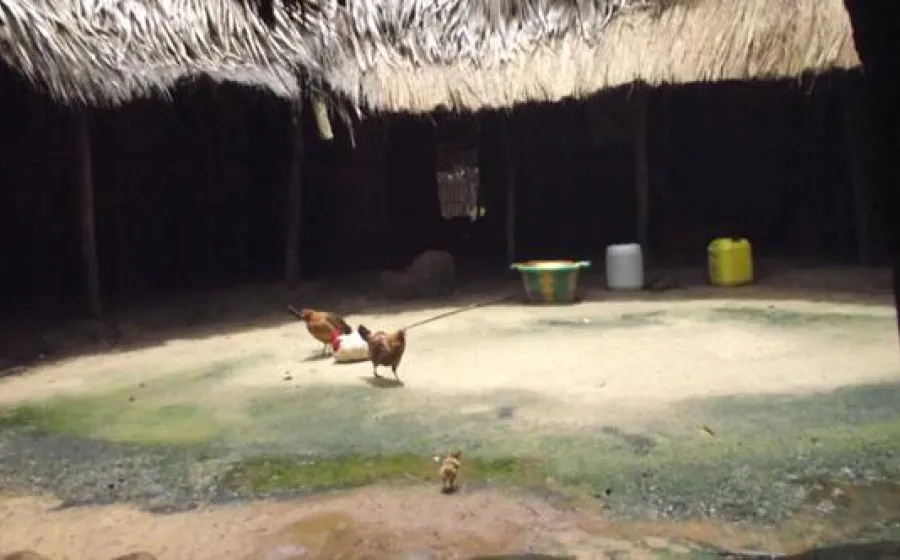 Dedans la Casamance Cineastas en Acción