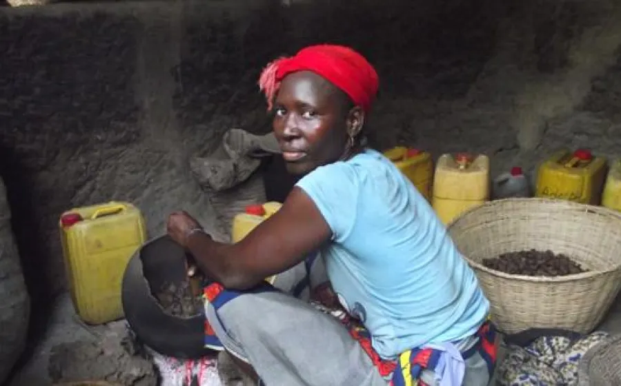 Dedans la Casamance Cineastas en Acción