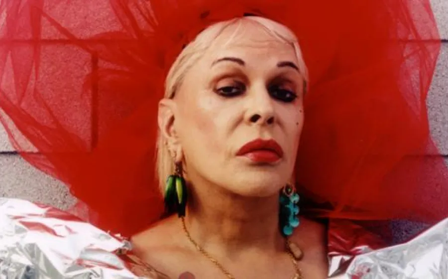 The Ballad of Genesis and Lady Jaye, de Marie Losier