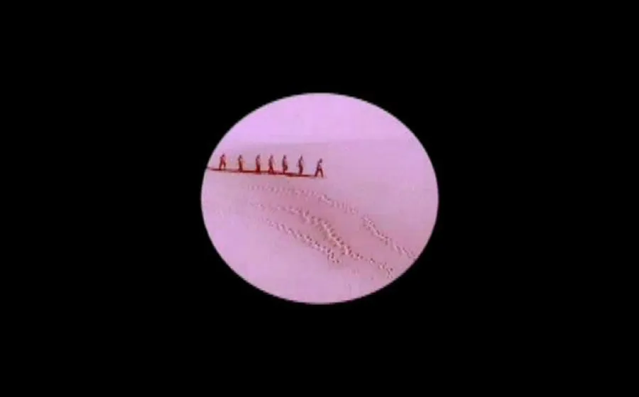 Micro Environments, 2008. Registro de video instalación Jair Tapia