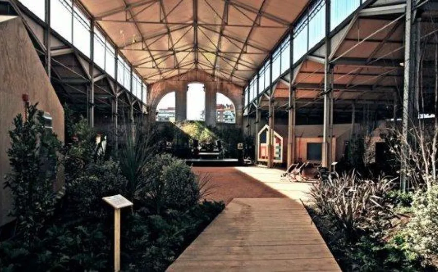 NAVE DE  MÚSICA