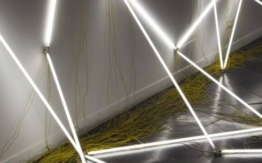 NAVID NUUR. HOCUS FOCUS