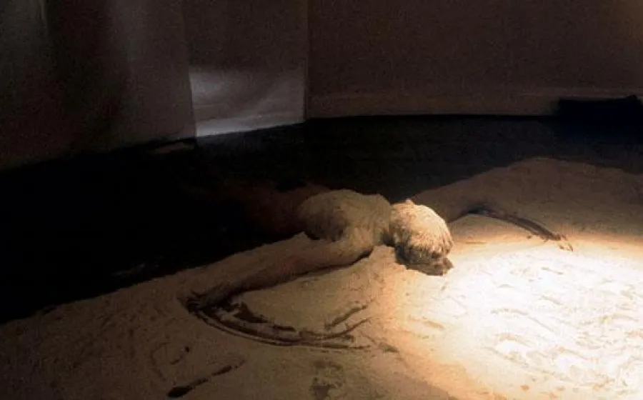 El cuerpo de la memoria