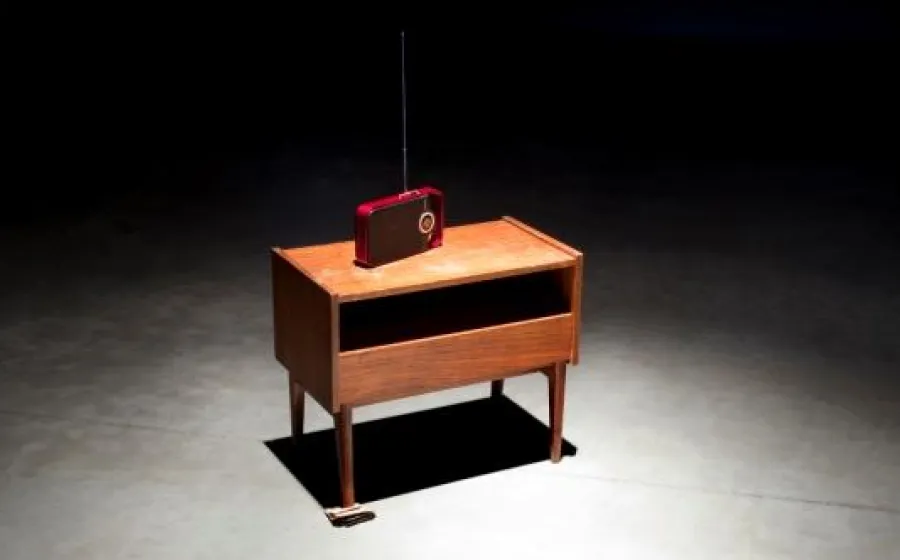 Ahmet Ögüt. Envíale tu dinero (2010)