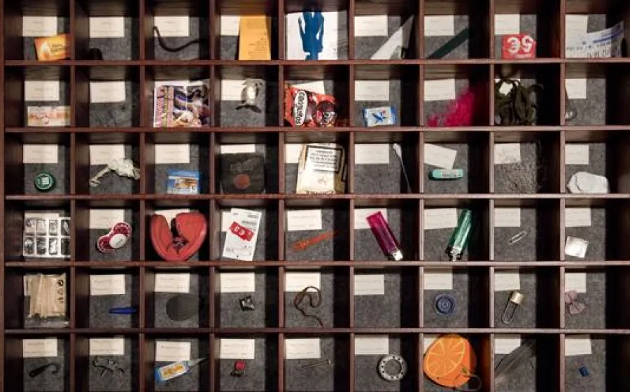 A Archaeology Of Lost Objects, Mark Dion.