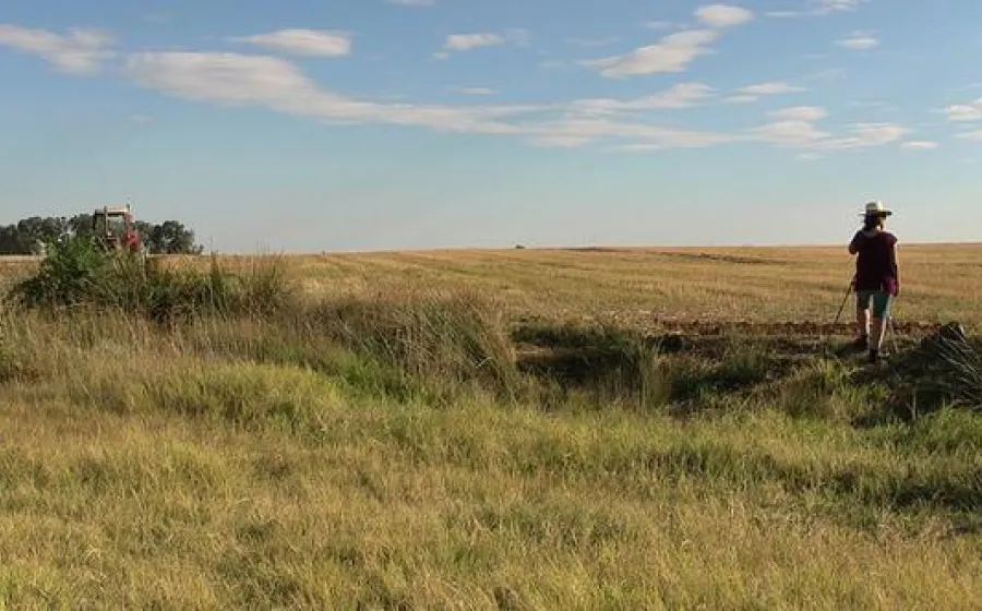 CAMPO ADENTRO
