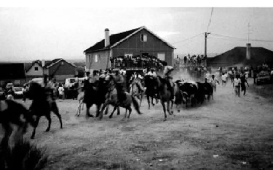 TOROS EN LA ALDEA