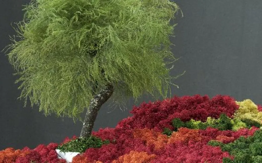 Esther Pizarro. Foto (detalle): Markus Schroll