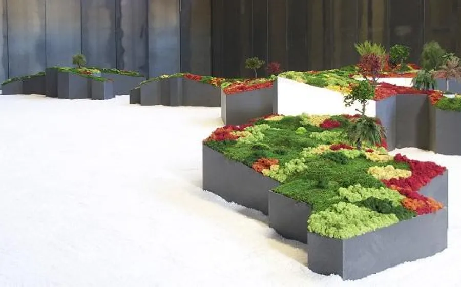 VISITAS COMENTADAS: UN JARDÍN JAPONÉS