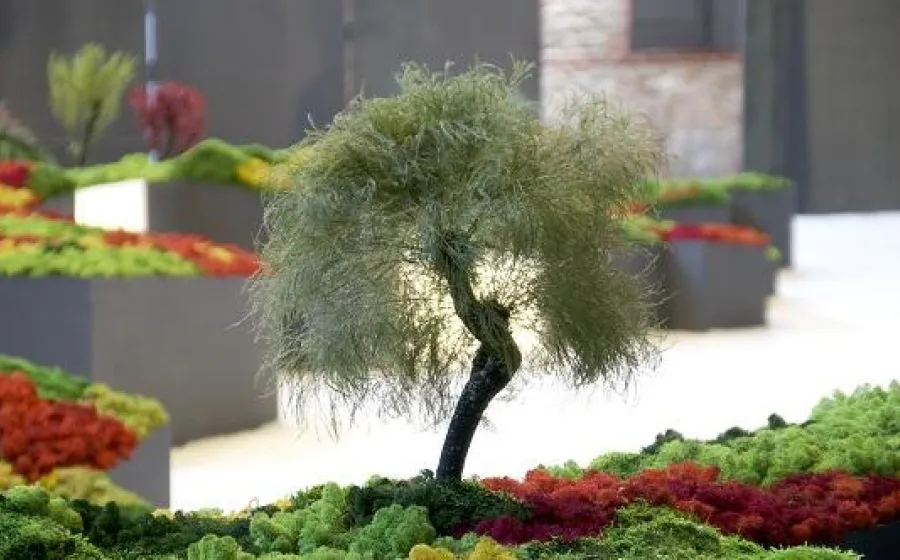 VISITAS COMENTADAS: UN JARDÍN JAPONÉS