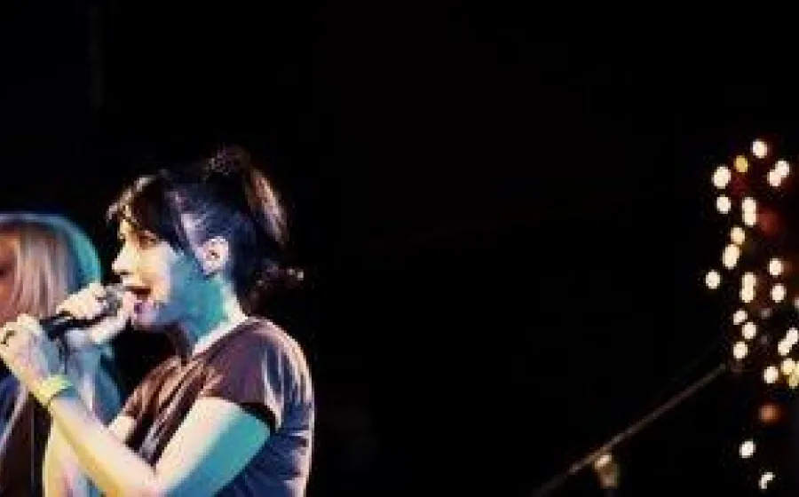 THE PUNK SINGER