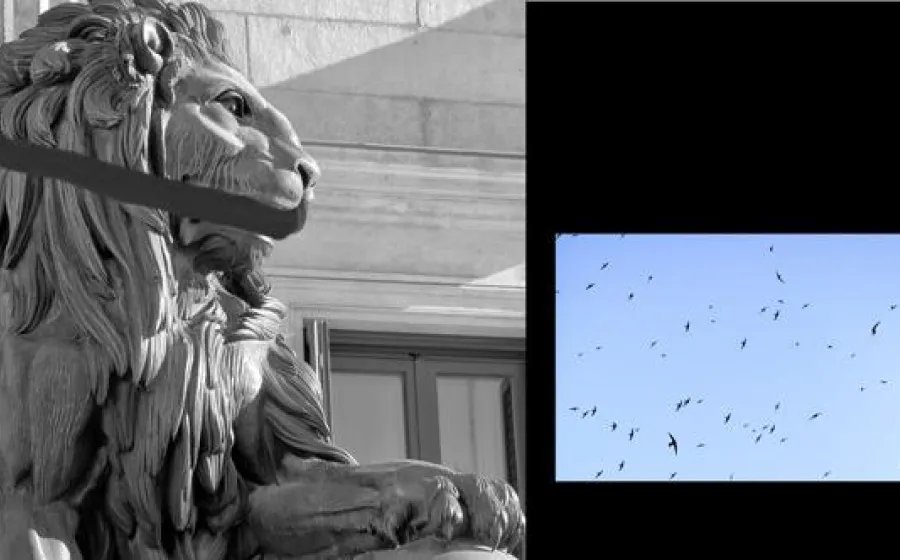 HASTA QUE LOS LEONES NO TENGAN HISTORIADORES…