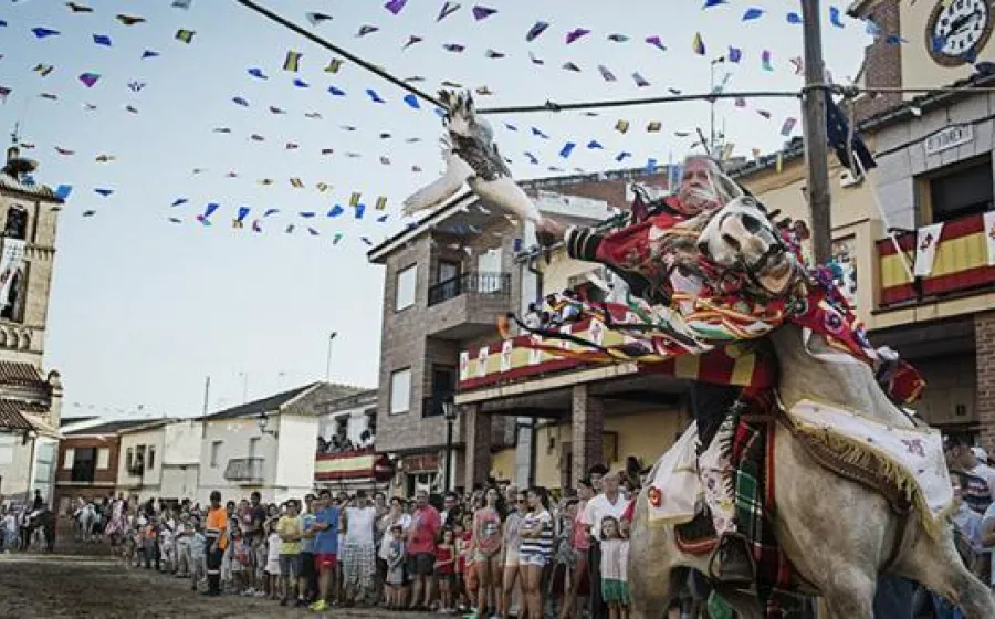 Santa Fiesta