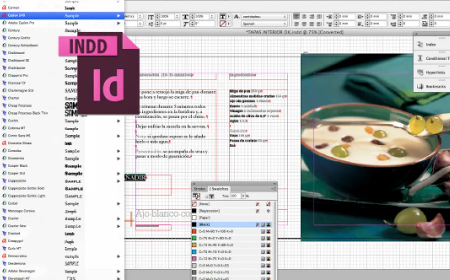 INDESIGN: CURSO PRÁCTICO PARA LA MAQUETACIÓN PROFESIONAL