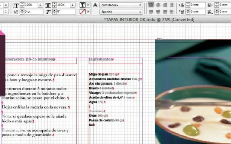 INDESIGN
